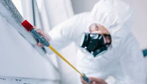 Best Residential Pest Control  in Ukiah, CA